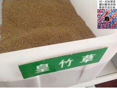 買皇竹草多少錢一斤合算？