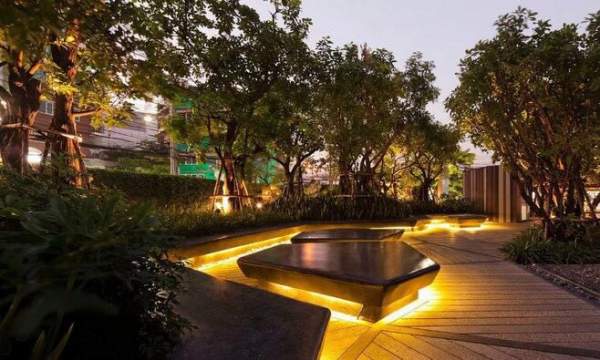 園林造型藝術光影 園林造型藝術光影