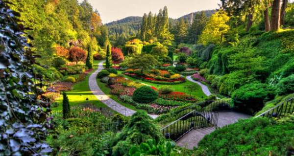 學習國外苗木行業經驗，搶先了解國內市場動態