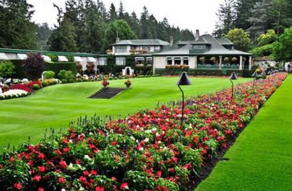 學習國外苗木行業經驗，搶先了解國內市場動態