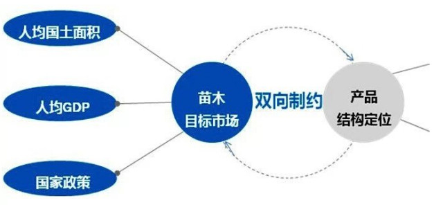 學習國外苗木行業經驗，搶先了解國內市場動態