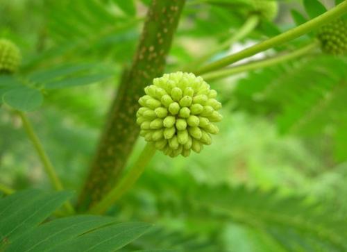 1586263022755202.jpg 1586263022755202.jpg