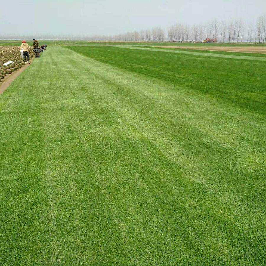 1647537776989557.jpg 1647537776989557.jpg