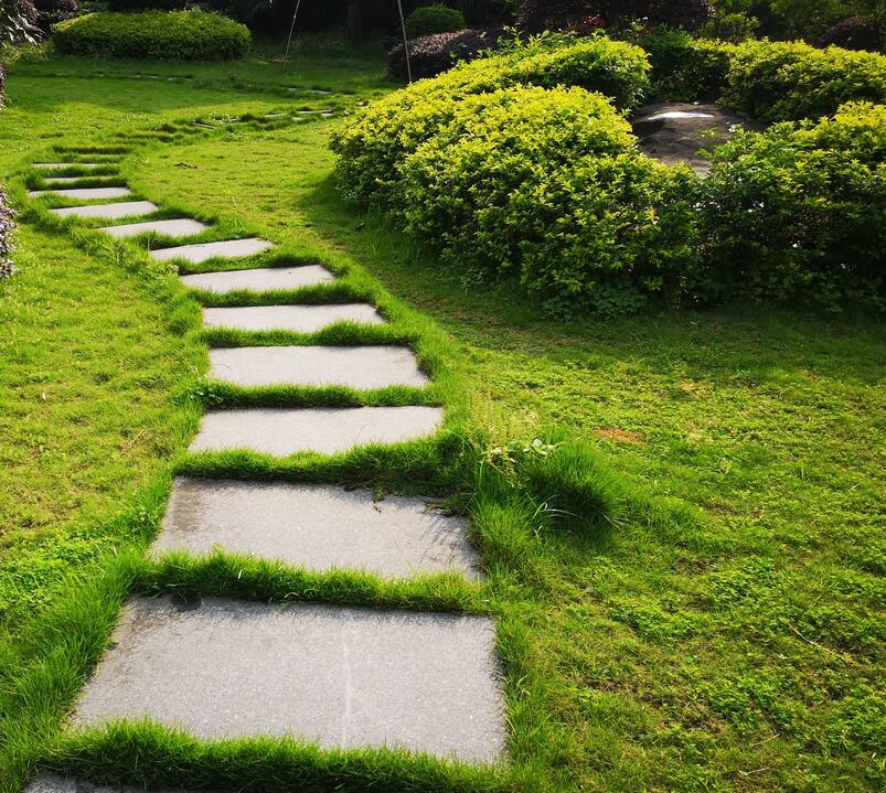 1647538301488015.jpg 1647538301488015.jpg