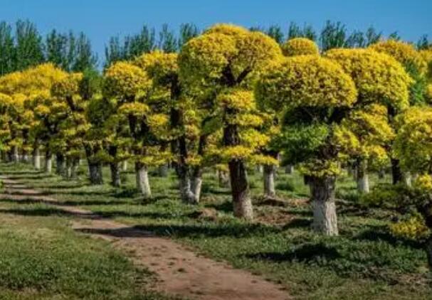 1648545568138947.jpg 1648545568138947.jpg