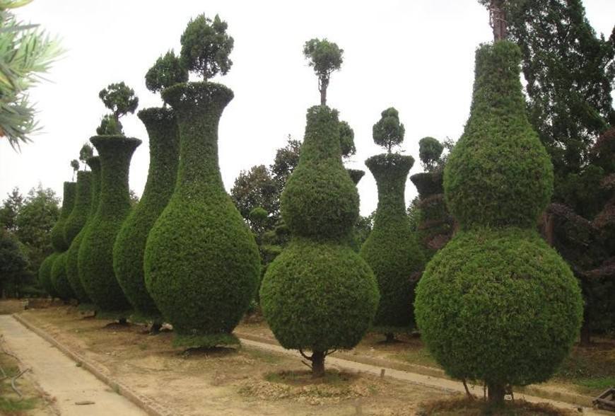 1648546511841085.jpg 1648546511841085.jpg