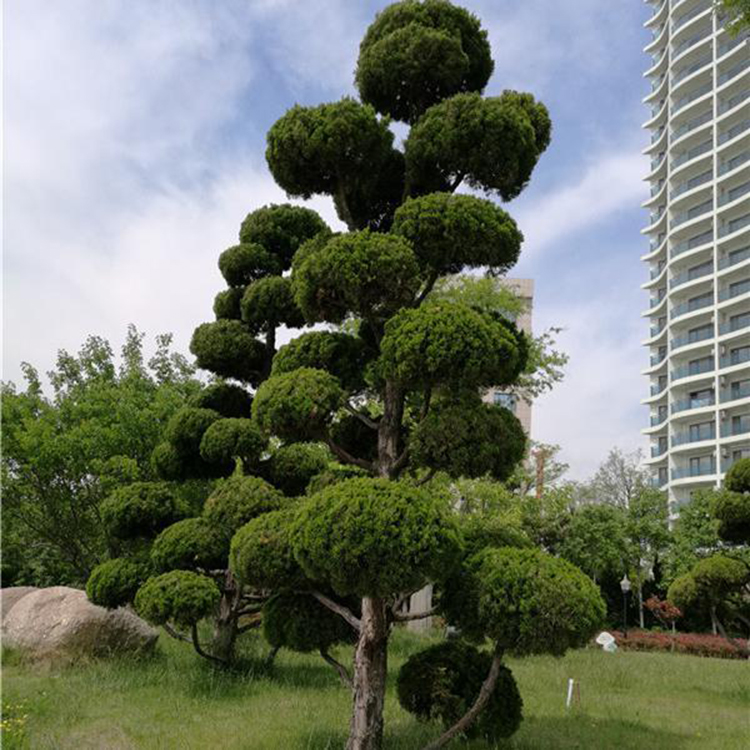 1648602799472515.jpg 1648602799472515.jpg