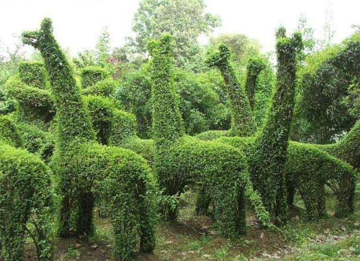 1648602799629195.png 1648602799629195.png