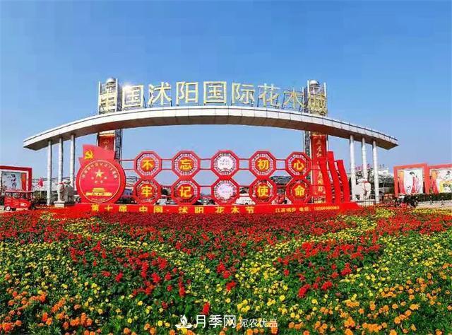 值得收藏！這些全國著名苗木產地你知道幾個？