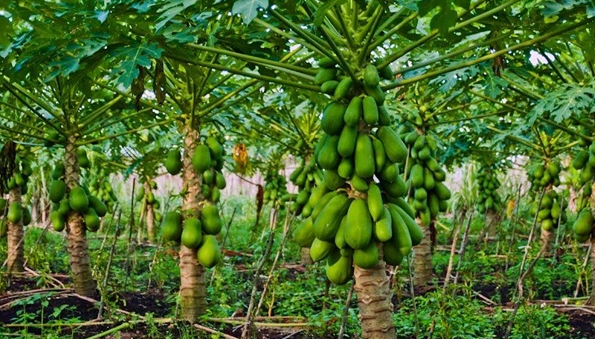 1672621691243778.png 微信圖片_20221129014553.png