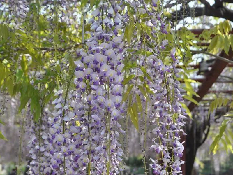 1672623059362645.jpg 微信圖片_20220818221324.jpg