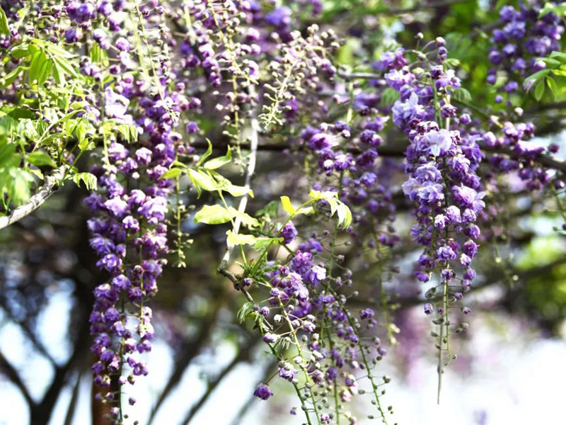 1672623066226393.jpg 微信圖片_20220818221249.jpg