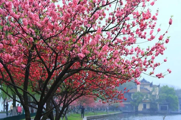 1672650672689919.jpg 微信圖片_20230102170954.jpg