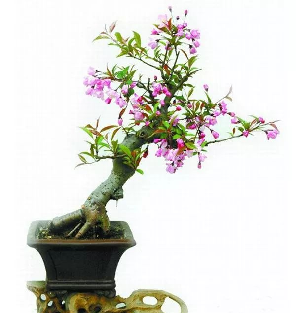 1673082701268534.jpg 微信圖片_20230107171052.jpg