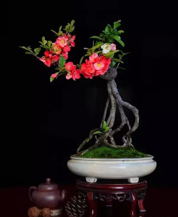 1673082716822009.jpg 微信圖片_20230107171124.jpg