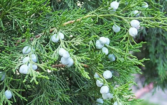 1673091708797852.jpg 微信圖片_20230107193628.jpg