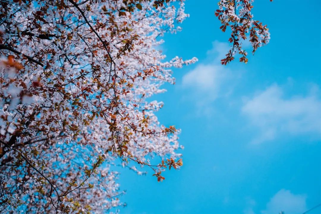 1673092272297809.jpg 微信圖片_20230107195010.jpg