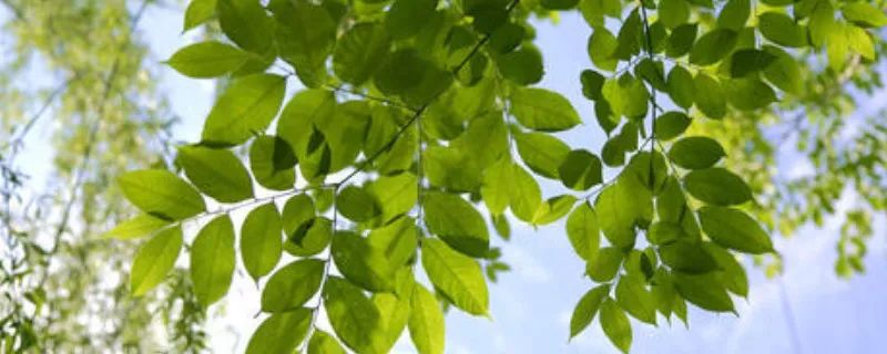 1673092355839853.jpg 微信圖片_20221025220203.jpg