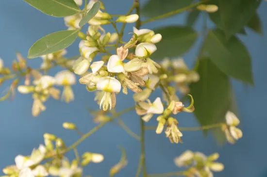 1673092362212705.jpg 微信圖片_20221025220213.jpg