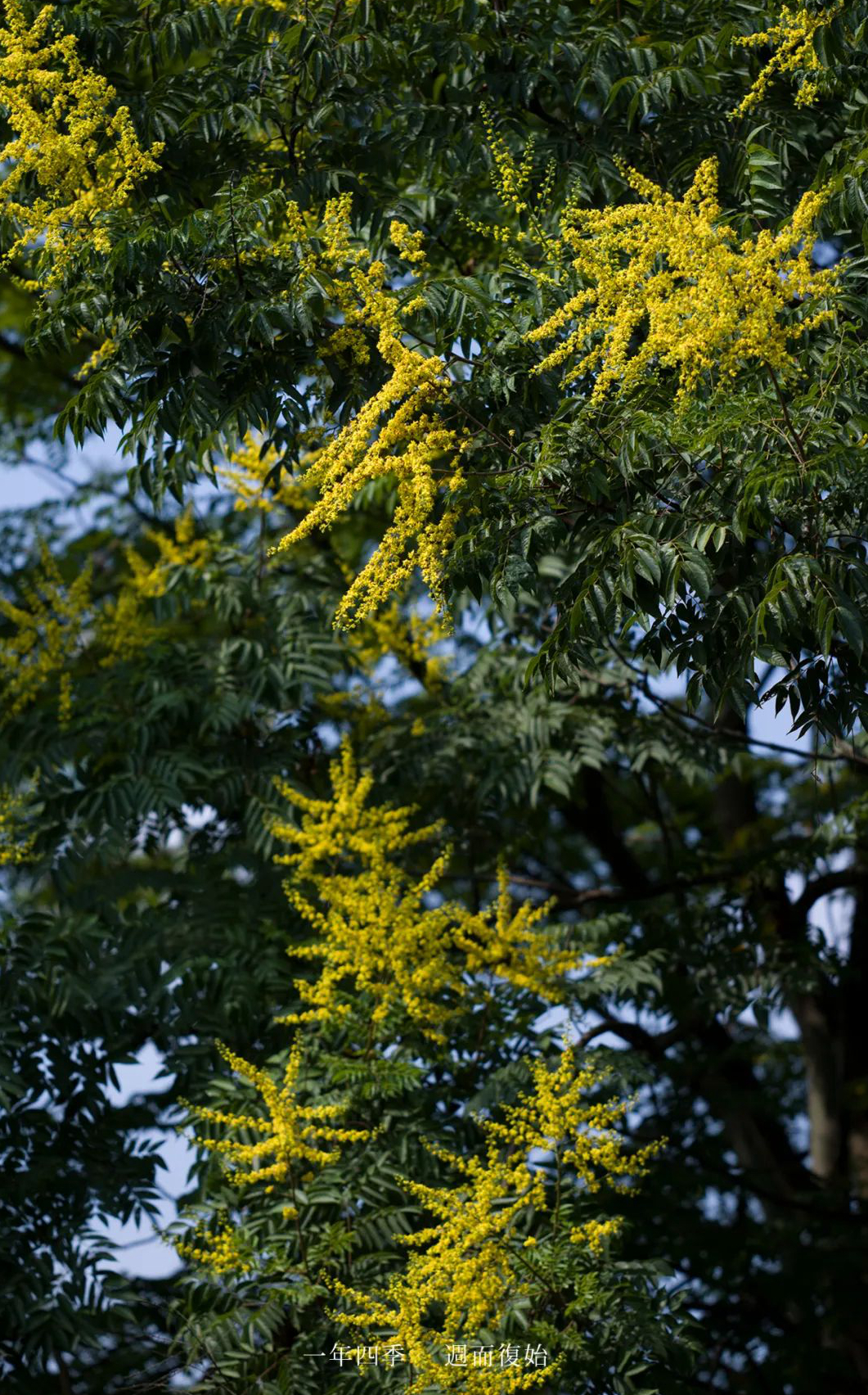 1673093219291088.jpg 微信圖片_20230107200510.jpg