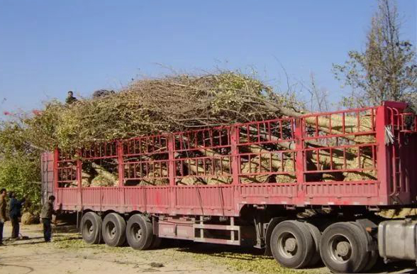 1673156884853551.jpg 微信圖片_20230107195507.jpg