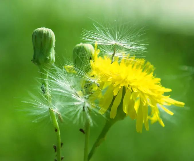 1673157550764485.jpg 微信圖片_20220818221906.jpg