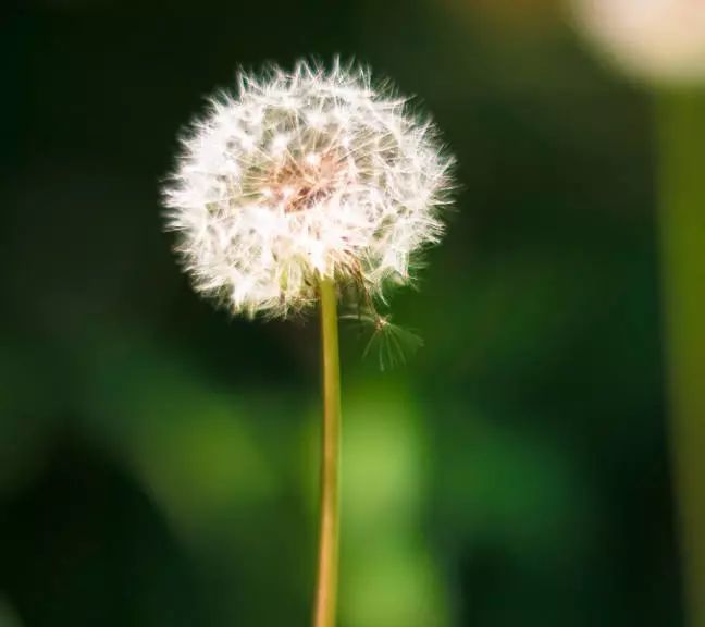 1673157572544579.jpg 微信圖片_20220818221932.jpg