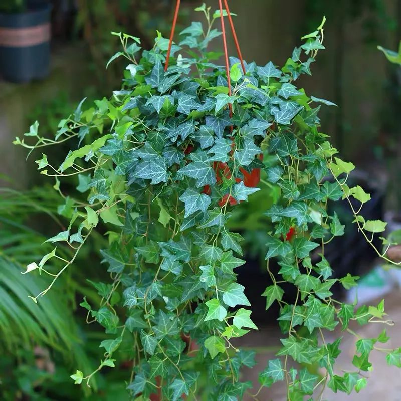 1673356385845867.jpg 微信圖片_20230110211247.jpg