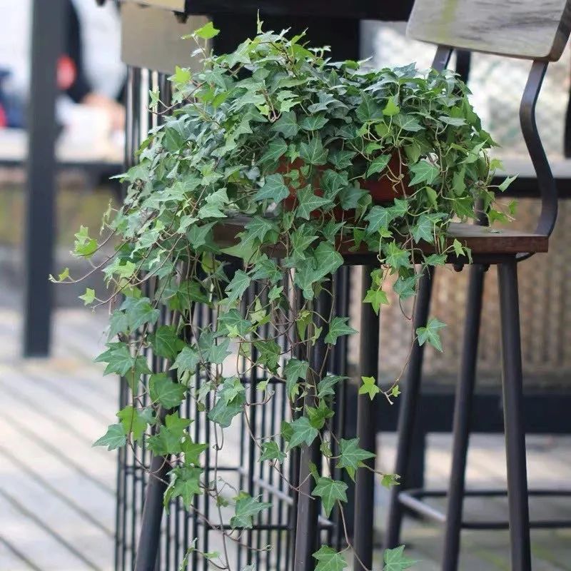 1673356402310651.jpg 微信圖片_20230110211239.jpg