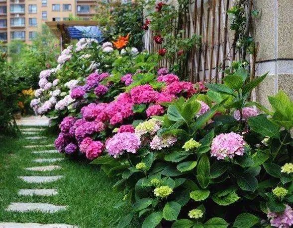 1673524684445304.jpg 微信圖片_20230112195722.jpg