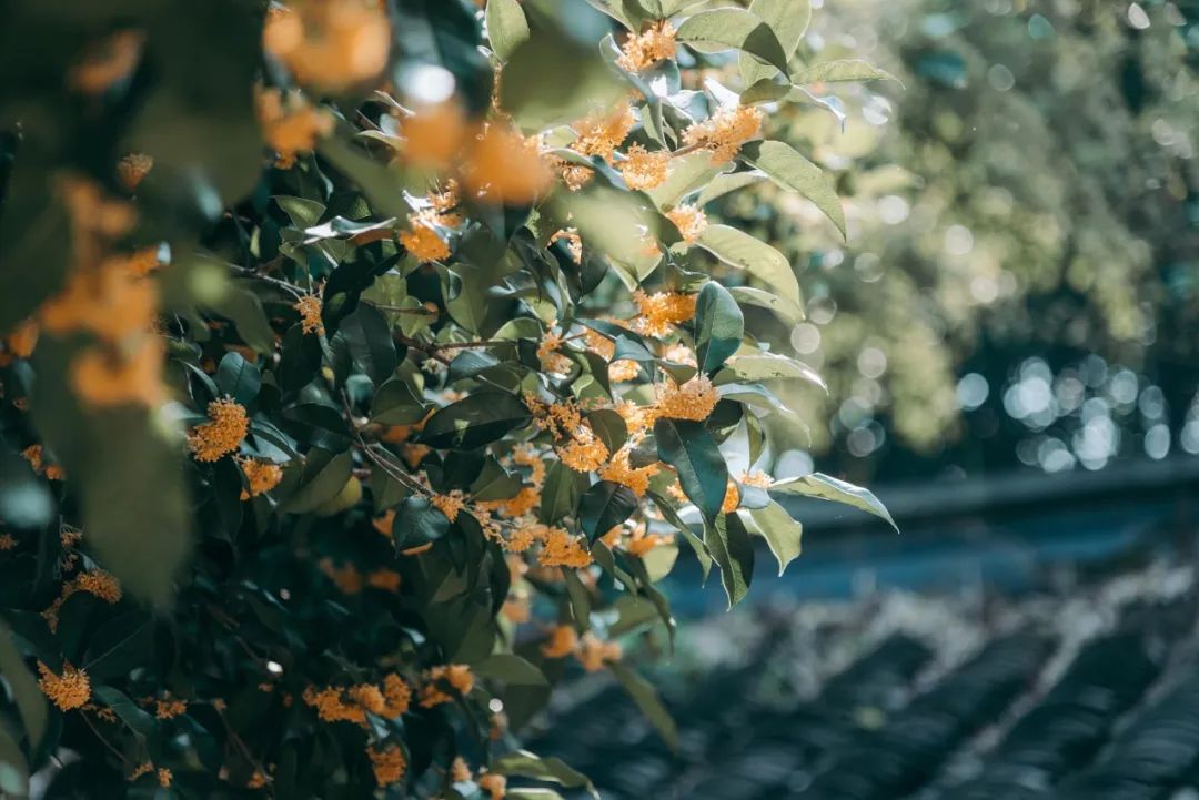 1673525375242914.jpg 微信圖片_20221026222437.jpg