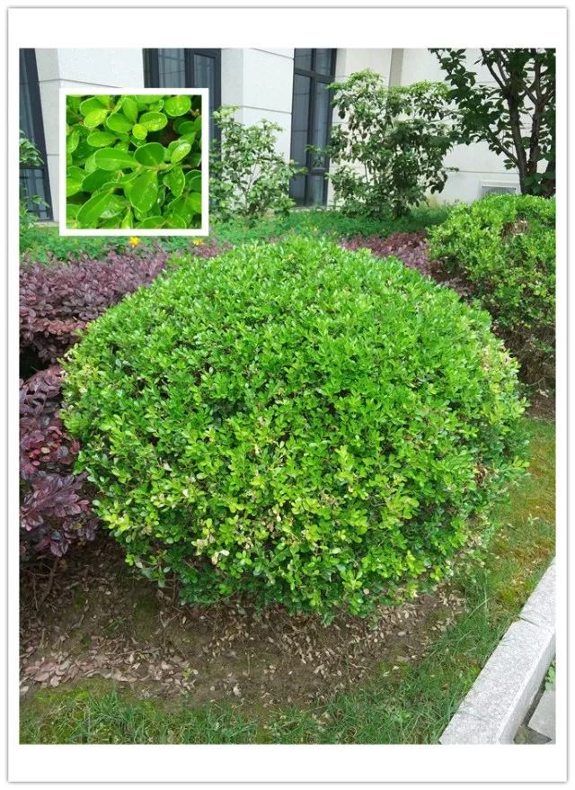 1673525671302230.jpg 微信圖片_20230112201347.jpg