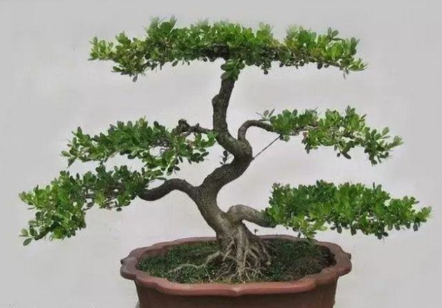 1673525678754728.jpg 微信圖片_20230112201358.jpg