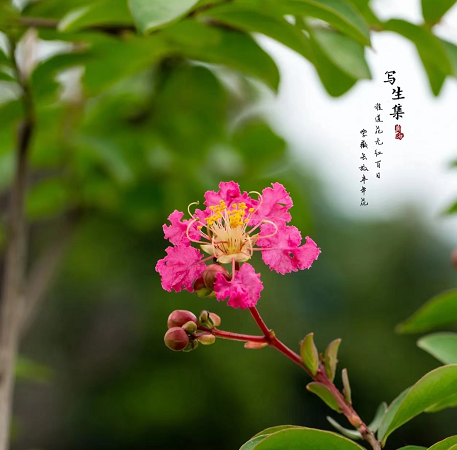 1673525930594000.png 微信圖片_20230112201817.png