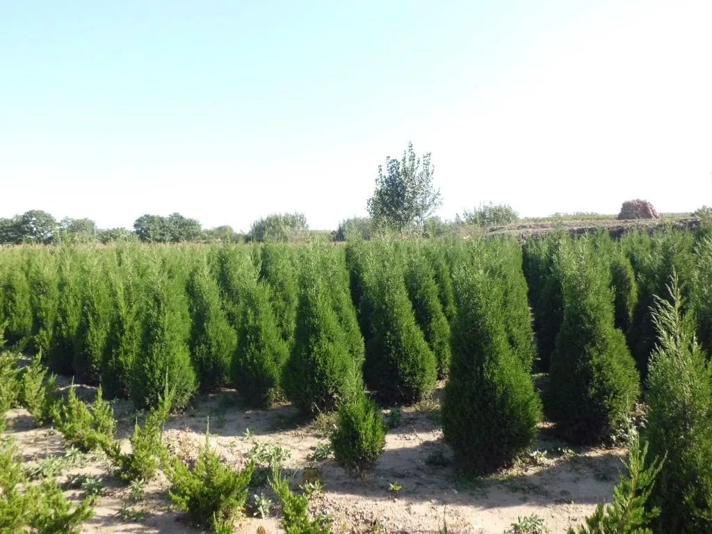 1673526057158991.jpg 微信圖片_20230112202005.jpg