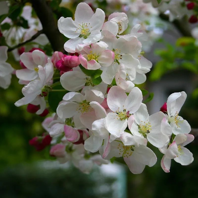 1673782139486844.jpg 微信圖片_20221128204901.jpg