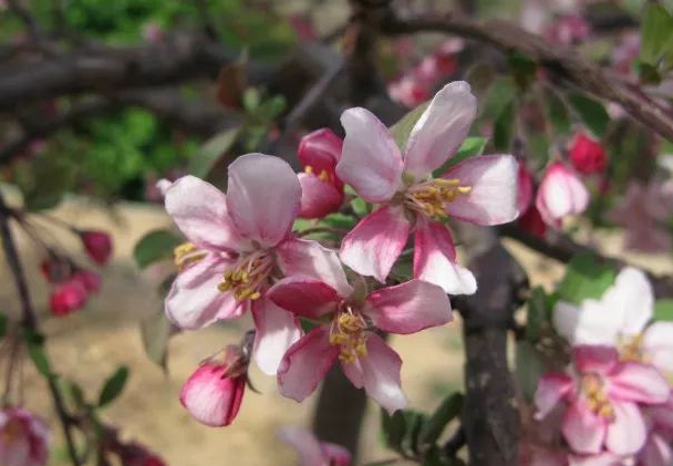 1673782145901608.jpg 微信圖片_20221128204915.jpg