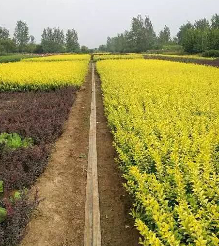 1673824680922648.jpg 微信圖片_20230115191849.jpg