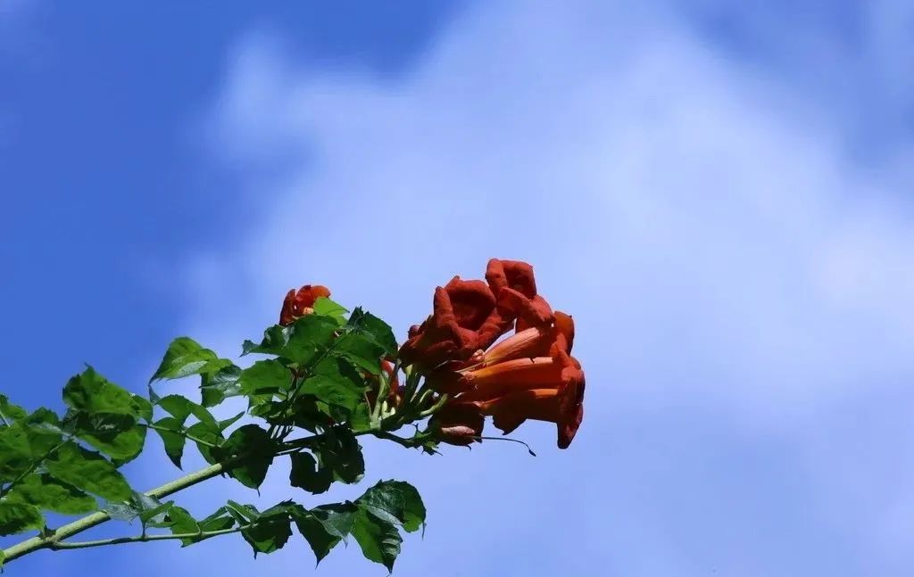 1673825003741921.jpg 微信圖片_20230116072229.jpg