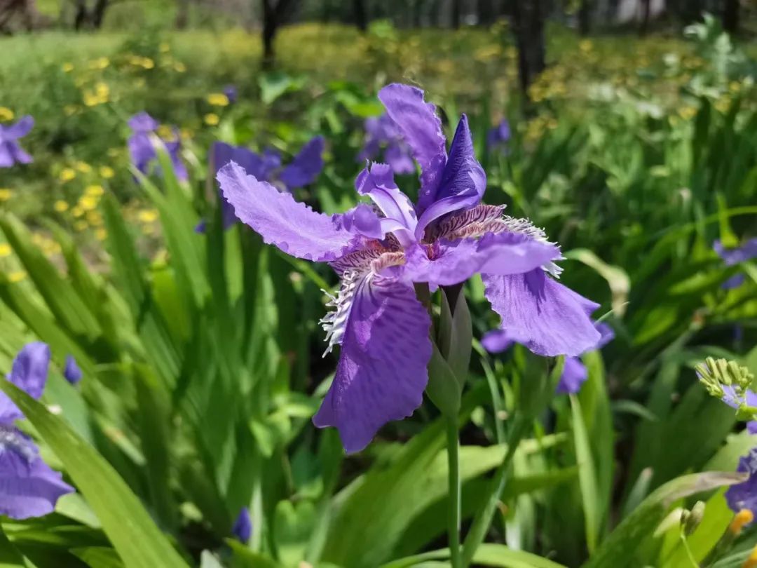 1673825346217025.jpg 微信圖片_20230116072825.jpg