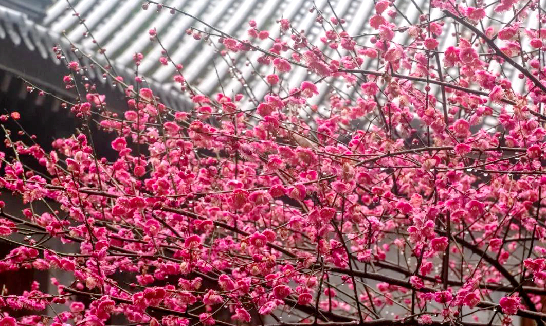 1673825615112245.jpg 微信圖片_20230108124128.jpg