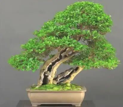 1674486376389388.jpg 微信圖片_20230106055953.jpg