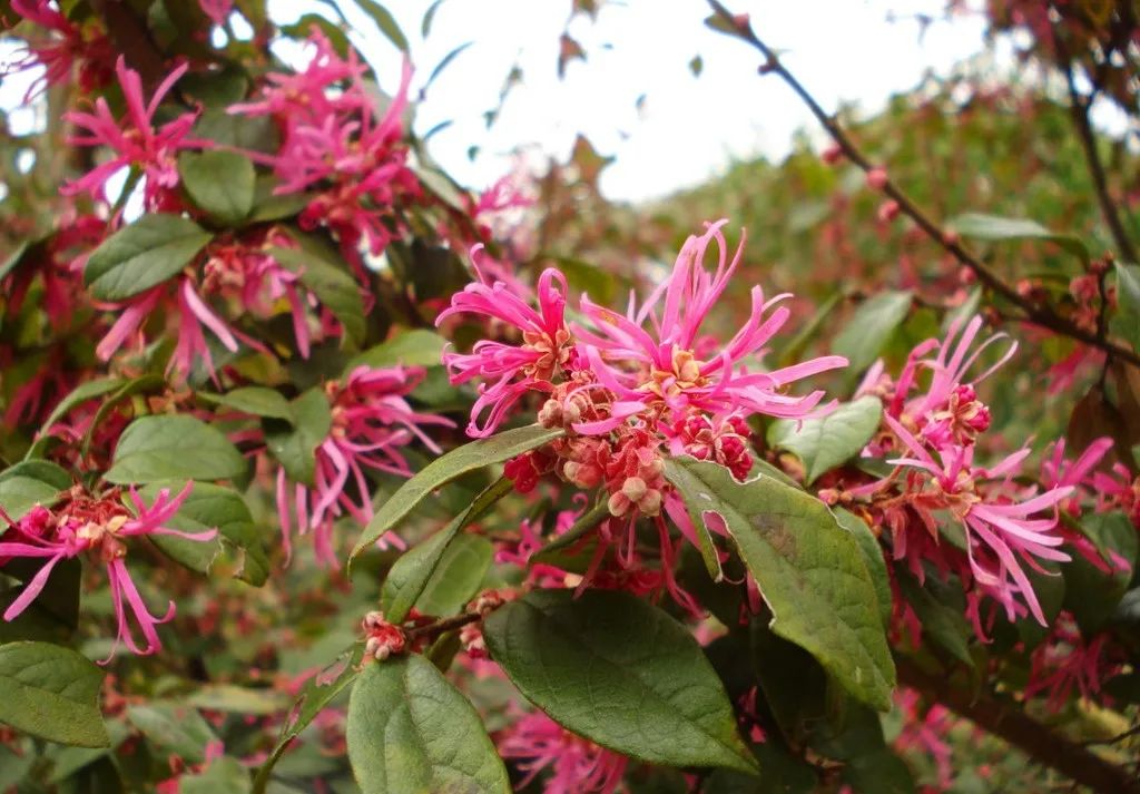 1674486383768436.jpg 微信圖片_20221128205716.jpg