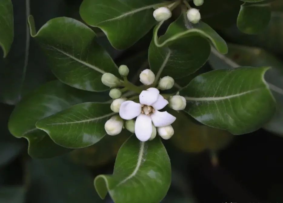 1675199826964869.jpg 微信圖片_20221028174420.jpg