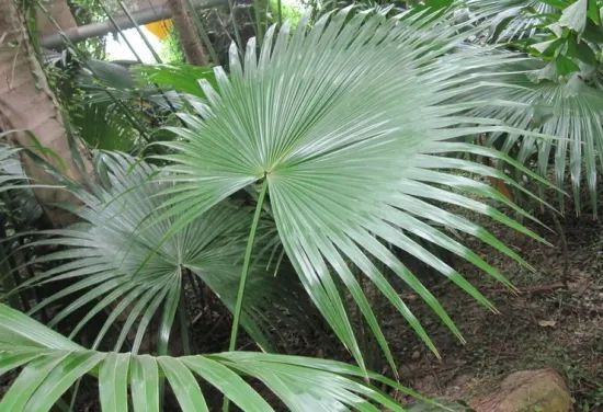 1675200385209879.jpg 微信圖片_20221029111922.jpg