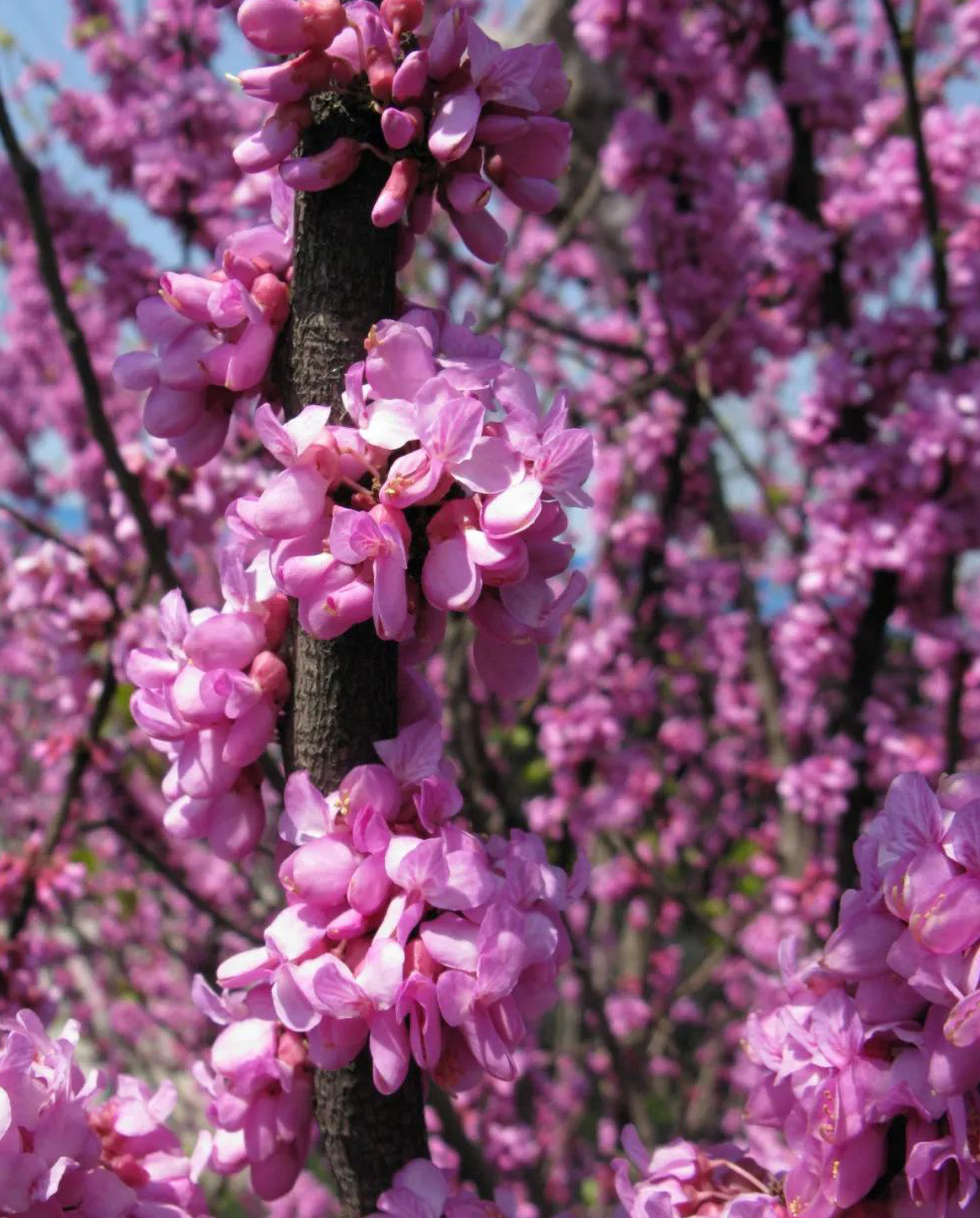 1675479014100544.jpg 微信圖片_20230201051117.jpg