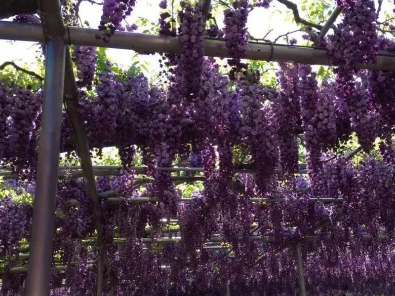 1675479173175405.jpg 微信圖片_20220818221332.jpg