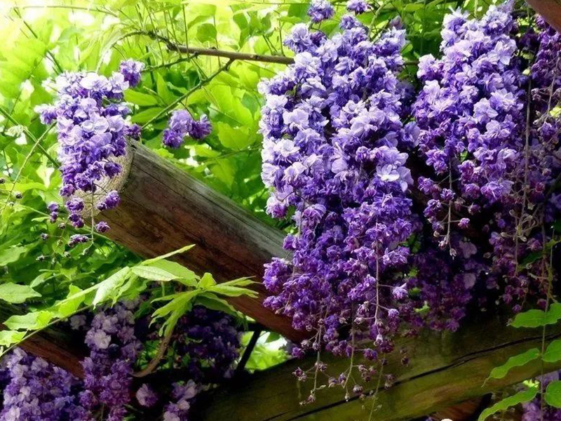 1675479182364939.jpg 微信圖片_20220818221329.jpg