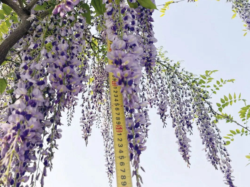 1675479198475871.jpg 微信圖片_20220818221258.jpg