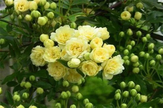 1675479379977296.jpg 微信圖片_20230108112100.jpg